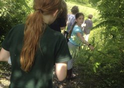 Wilderness Quests: A Nature-Based LARP Class (Fall) - Image 4