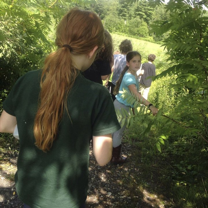 Wilderness Quests: A Nature-Based LARP Class (Fall) - Image 4